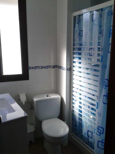 a bathroom with a toilet and a shower at Plaza Principal Zahara - MAGNIFICA UBICACION y VISTAS in Zahara de la Sierra