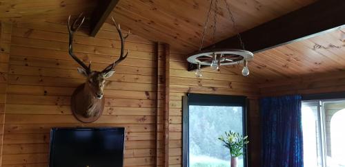 TV a/nebo společenská místnost v ubytování Lakeview Cottage