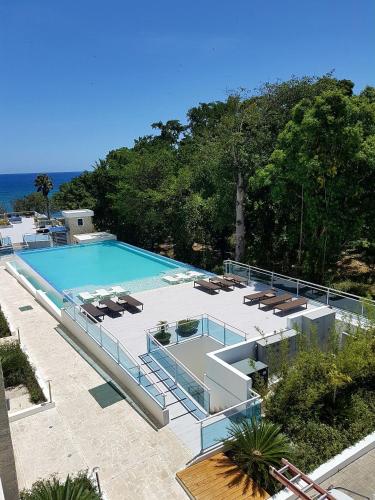 Koko and Suzy's ocean dream