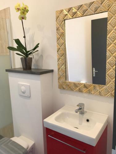 un baño con lavabo y espejo en Ravine Bleue, en Saint-Louis