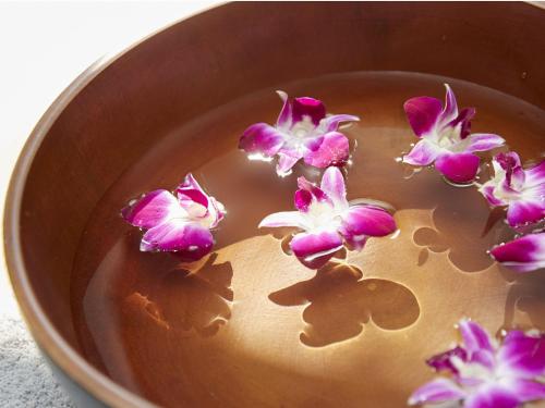 Φωτογραφία από το άλμπουμ του Hakone Elecasa Hotel and Spa στη Χακόνε