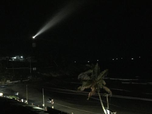 a street light at night with a palm tree at The Ocean Park Beach Resort in Kovalam