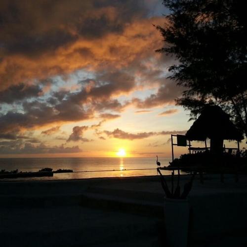 a sunset on a beach with the sun setting at Driftwood Beach Lodge in Jambiani