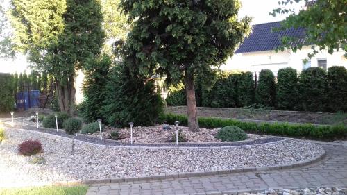 a garden area with a bench and a tree at Eliza noclegi in Bolesławiec