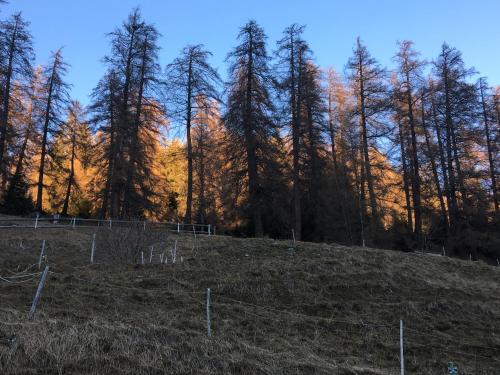 Příroda nedaleko apartmánu