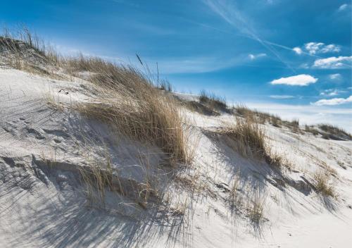 a sand dune with tall grass on a beach at Weisse Düne - App. 5 in Wenningstedt