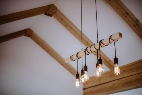 ラムサウ・アム・ダッハシュタインにあるNaturchalet Höflehner - Heimgefühl & Ruhelage an Loipe & Wanderwegのギャラリーの写真