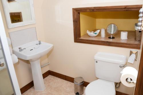 a bathroom with a sink and a toilet and a mirror at Pinewood House in Whitby