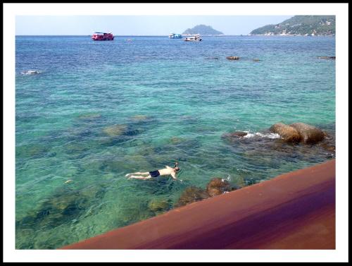 a person swimming in the water at the beach at DD Hut Koh Tao in Koh Tao