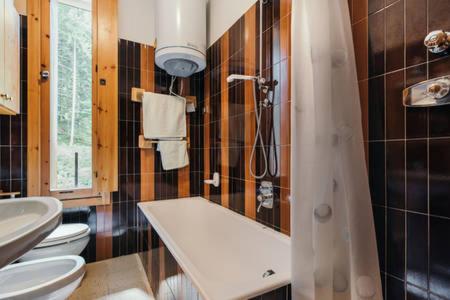 bagno con 2 servizi igienici, lavandino e doccia di CENTRAL WOODEN CHALET WITH FOREST VIEW a Madonna di Campiglio