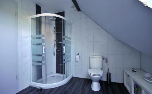 a white bathroom with a shower and a toilet at Fleur de Vigne in Eguisheim