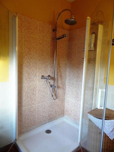 a shower with a glass door in a bathroom at La Solana, alojamiento y alfarería in Arenas de San Pedro