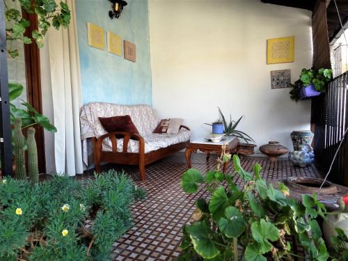 a living room with a chair and some plants at La Solana, alojamiento y alfarería in Arenas de San Pedro