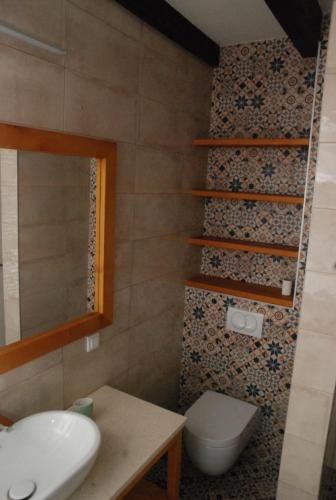 a bathroom with a toilet and a sink and a mirror at Wass House in Kosjerić