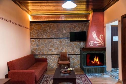 a living room with a fireplace and a couch at Hotel Kroupi in Elati Trikalon