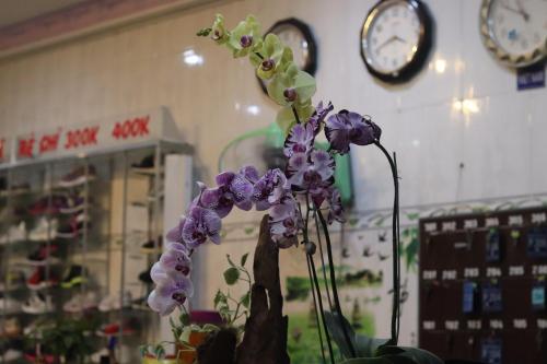 a vase of purple flowers in a store at Rang Dong Hotel in My Tho
