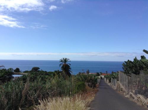 a road leading to the ocean with a palm tree at Villa in protected space in front of the sea in Los Realejos