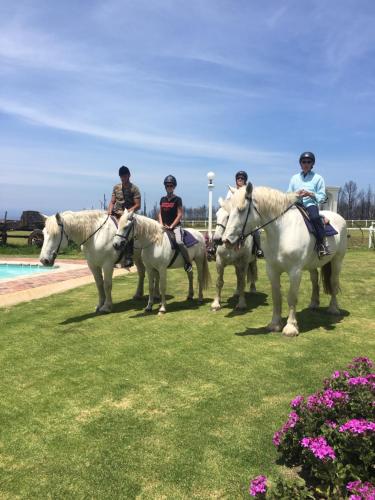 a group of people riding on horses by a pool at TNiqua Stable Inn in Plettenberg Bay