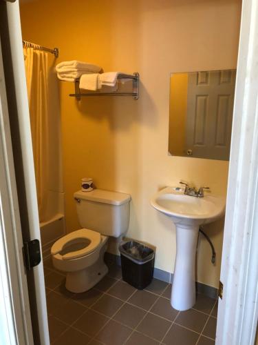 a bathroom with a toilet and a sink at Dogwood Park Inn in Springfield