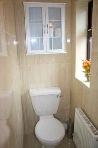 a bathroom with a white toilet and a cabinet at Ard na Carraige, Ventry Holiday Home in Dingle