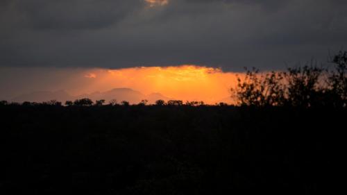 a sunset over a field with mountains in the background at Naledi Lodges in Balule Game Reserve