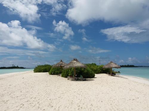 a beach with umbrellas and chairs and the ocean at Ras Rana Lodge in Rasdu