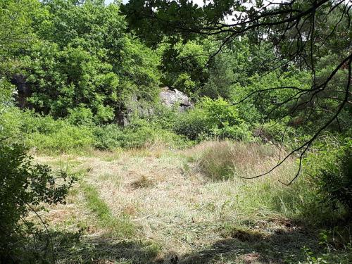 Φυσικό τοπίο κοντά σε αυτή η παραθεριστική κατοικία