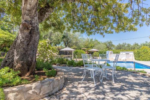 Πισίνα στο ή κοντά στο Farm of Dreams Algarve