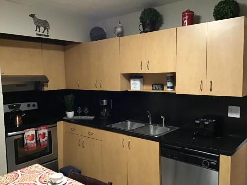 a kitchen with wooden cabinets and a sink at Modern 3/1 house close to Beaches and Midtown in Miami