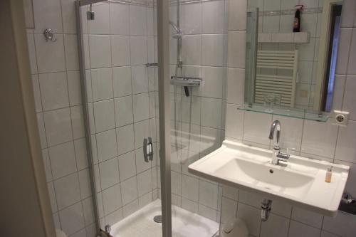 a bathroom with a sink and a shower with a mirror at Apartment Helena mit 2 Terrassen in Zempin