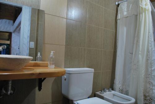 a bathroom with a toilet and a sink and a shower at Arroyo Escondido in Trevelin