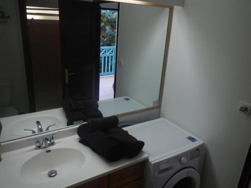 a bathroom sink with a mirror and a washing machine at Orient Bay Beach Studio in Orient Bay