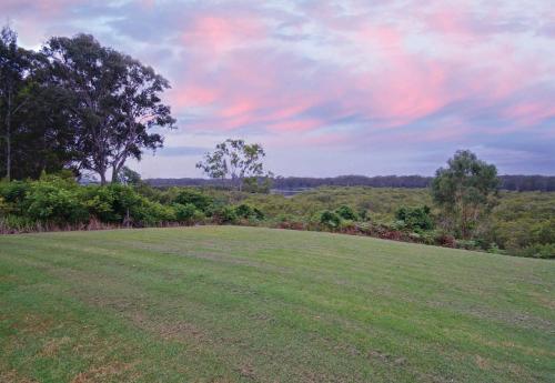 a field with a tree and a pink sky at Jabiru Motel in Nambucca Heads