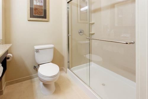 La salle de bains est pourvue de toilettes et d'une douche en verre. dans l'établissement Holiday Inn Express Benicia, an IHG Hotel, à Benicia