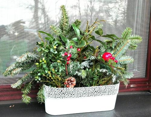 a potted christmas plant sitting in a window at Privat Kovacova in Žiar