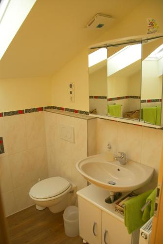 a bathroom with a toilet and a sink at Gästehaus Gaisalpe in Fischen
