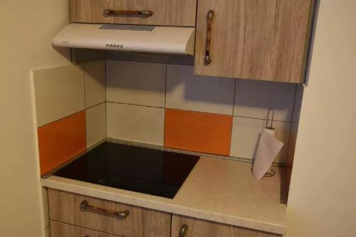 a kitchen with a sink and a stove top oven at Apartments FABRKA in Ljubljana
