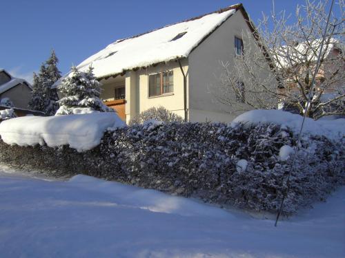 a house is covered in snow with a hedge at Ferienwohnung "Am Muschwitztal" Bad Steben / Carlsgrun in Bad Steben