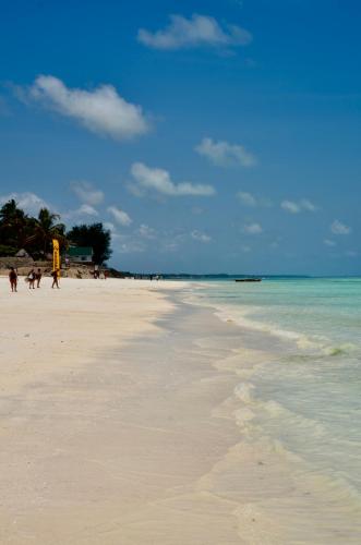 a beach with people and animals walking on the sand at Amka Guest house in Jambiani