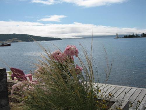 a patch of tall grass next to a body of water at Dunlop Inn in Baddeck