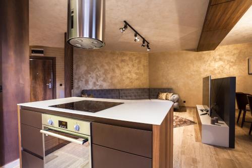 a kitchen with a stove and a refrigerator at Bella Roe Premium Apartments in Belgrade