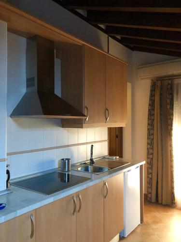 a kitchen with a sink and a microwave at El Patrón in Chinchón