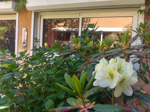Le Relais de Montchat photo 16