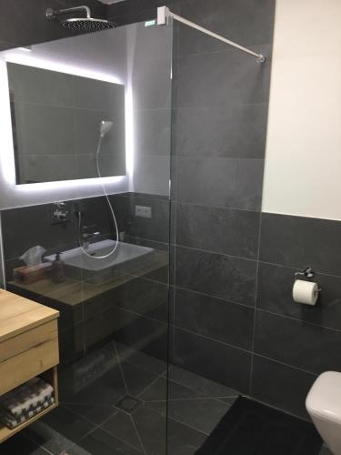 a bathroom with a glass shower with a toilet at Haus Schladming in Schladming