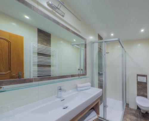 a bathroom with a sink and a shower and a toilet at Landhaus zum Griena in Mayrhofen