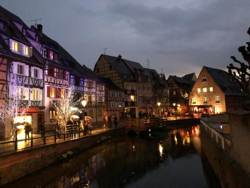 une ville avec des bâtiments et une rivière la nuit dans l'établissement DUPLEX 15, à Colmar