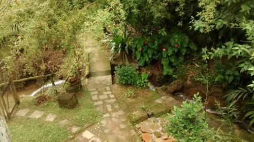 an overhead view of a path in a garden at Pousada Vertente das Águas in Lumiar