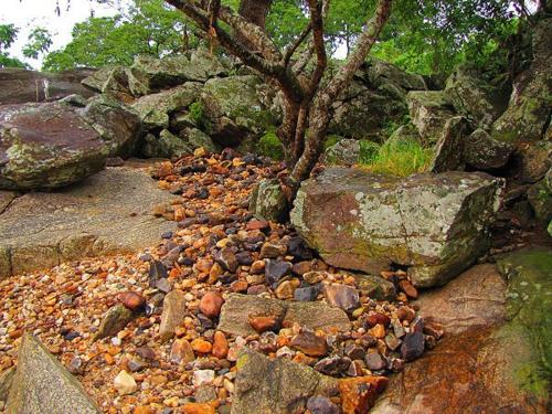 a bunch of rocks on the ground next to a tree at Pousada Serra Dourada in Goiás