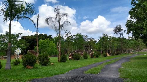 a road in a park with palm trees and grass at Pousada Serra Dourada in Goiás