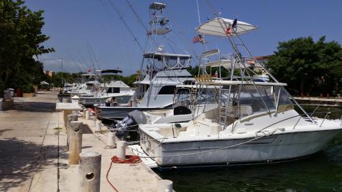 a group of boats are docked in the water at Casa Marino Rivera Maya in Puerto Aventuras
